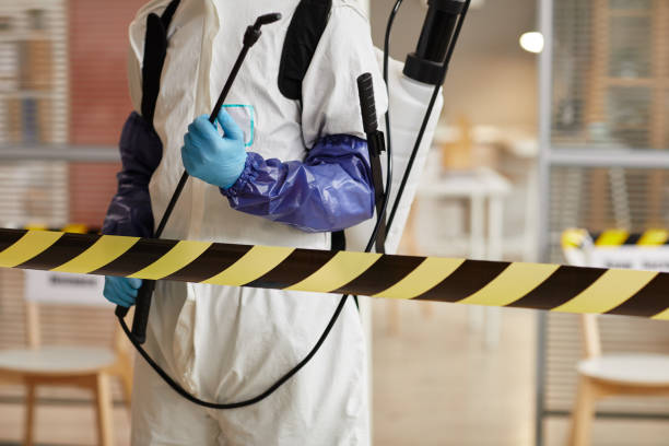 Professional Hoarding Cleanup technician working in Louise, TX